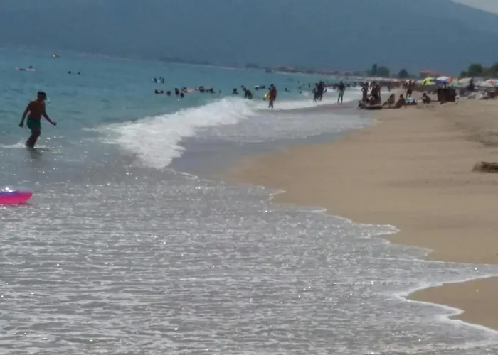 公寓 M 艾斯普罗瓦塔